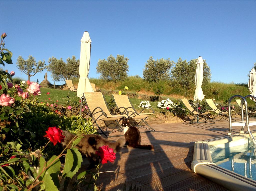 Agriturismo Podere La Marronaia San Gimignano Extérieur photo