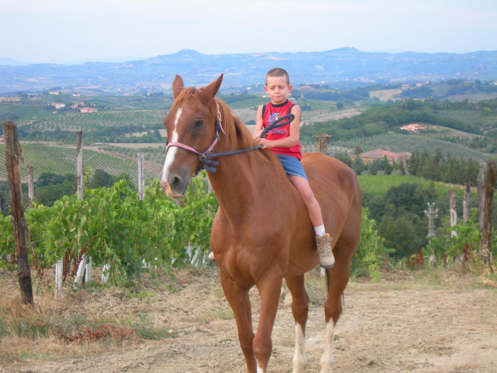 Agriturismo Podere La Marronaia San Gimignano Extérieur photo