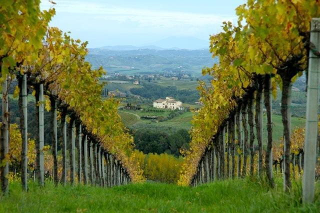 Agriturismo Podere La Marronaia San Gimignano Extérieur photo